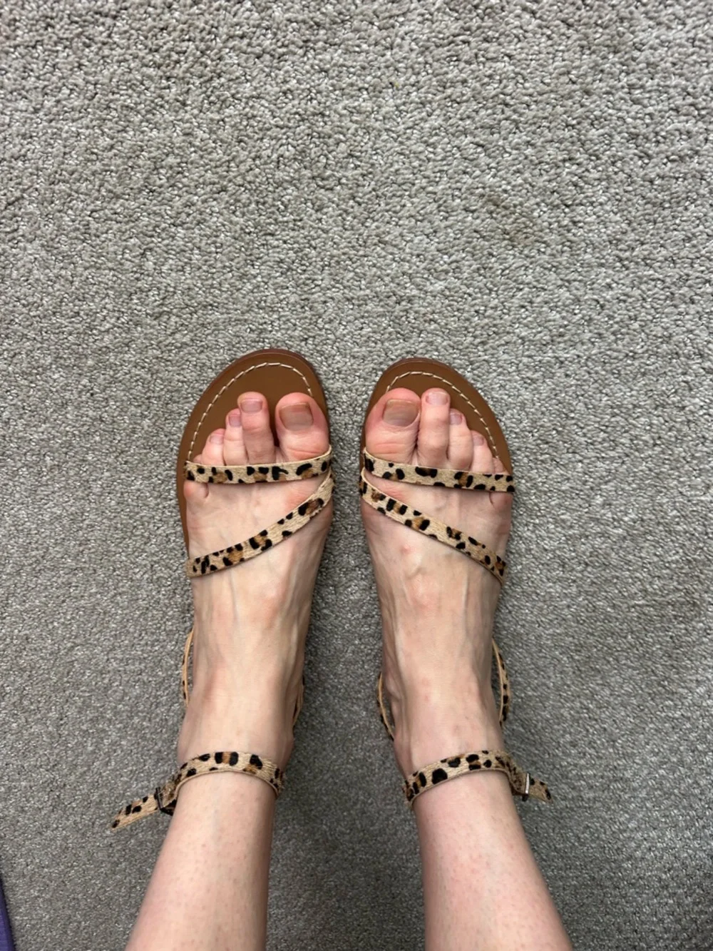 💄NEW Zara Leather Leopard Print Strappy Women’s Sandals - Tan US 9 EUR 40 - Picture 2 of 10